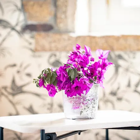 Magnolios Сasa de vacaciones *