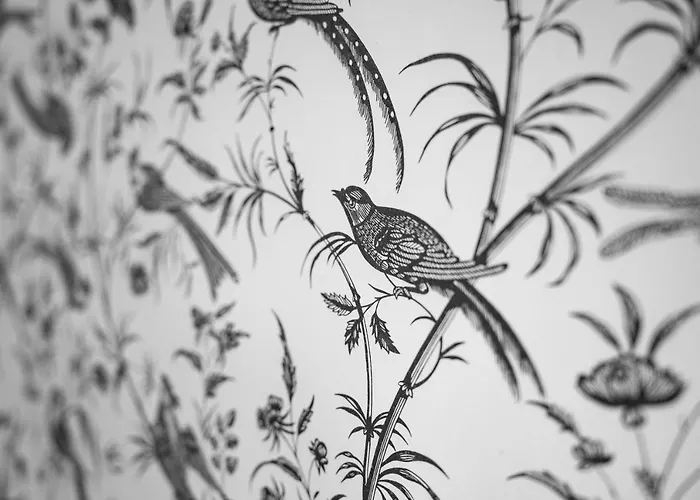 Magnolios Paderne (A Coruna)